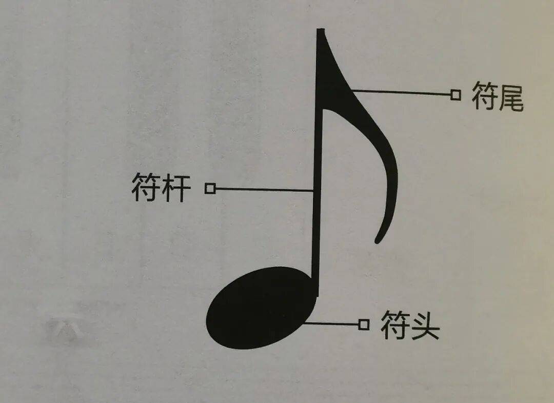 【干货】五线谱符号大全，钢琴初学者非常适用！