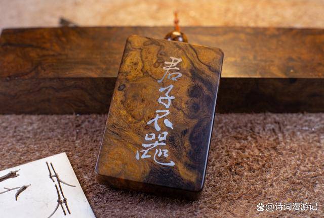 君子不器，究竟是什么意思？