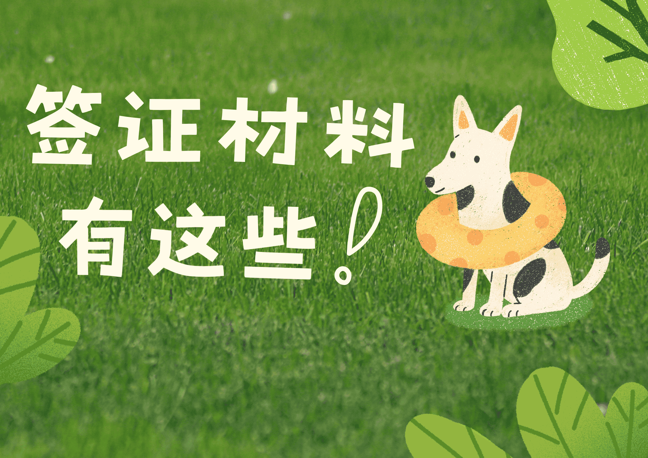 阿联酋签证需要的材料?