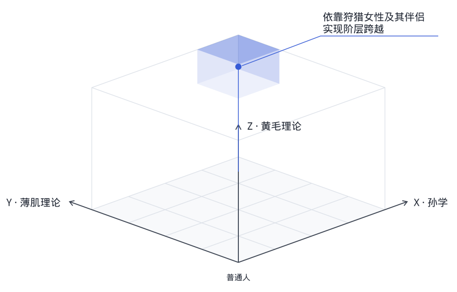 薄肌和孙学会成为币圈富豪的噩梦。